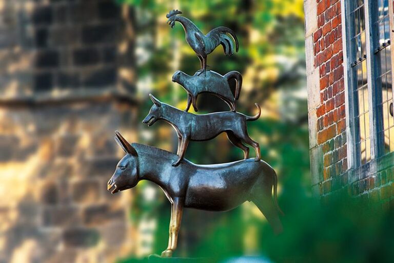 DEU99999990049908763_sized_800_0