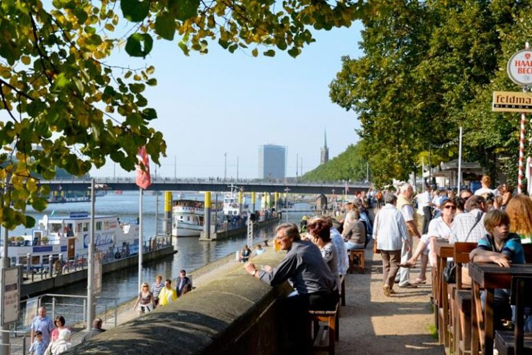 DEU99999990049908768_sized_800_0