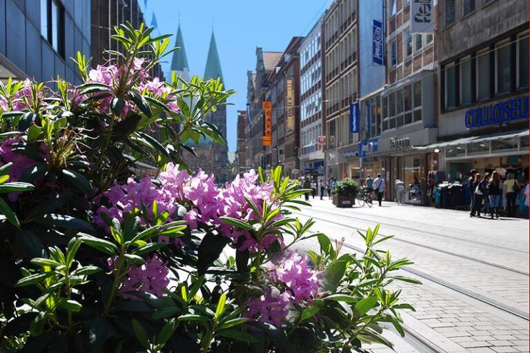 DEU99999990049908856_sized_800_0