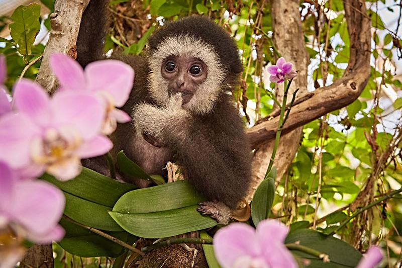 DEU99999990052774592_sized_800_0