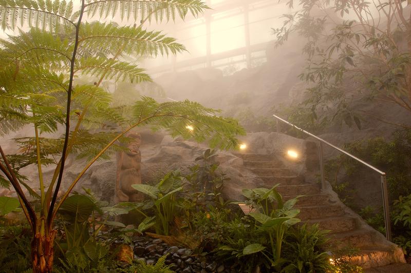 DEU99999990083732458_sized_800_0