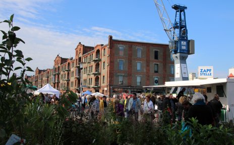 web-lieblings-speicher-xi