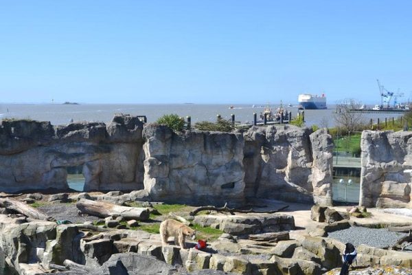 GER00020060512591284_sized_800_0